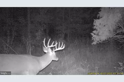 0 Boyer Road, Fort Valley, VA 22652 - Photo 37