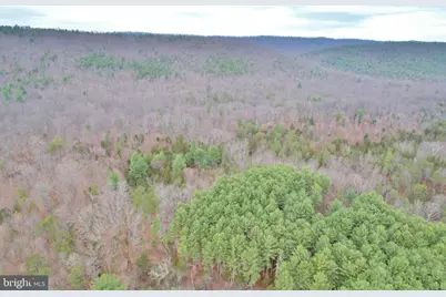 0, Fort Valley, VA 22652 - Photo 25