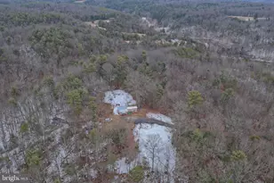 2034 Jerome Rd, Mount Jackson, VA 22842 - Photo 23