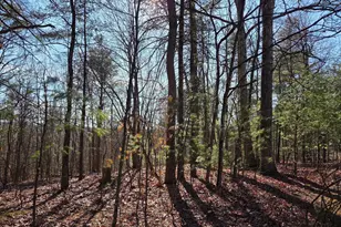 2034 Jerome Rd, Mount Jackson, VA 22842 - Photo 13