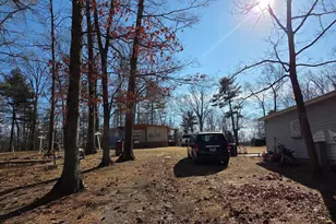 2034 Jerome Rd, Mount Jackson, VA 22842 - Photo 11