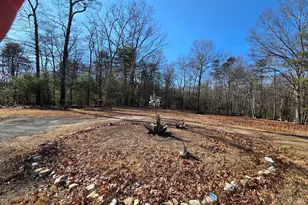 2034 Jerome Rd, Mount Jackson, VA 22842 - Photo 3