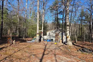 2034 Jerome Rd, Mount Jackson, VA 22842 - Photo 15