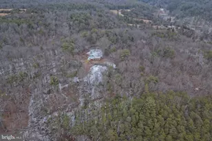 2034 Jerome Rd, Mount Jackson, VA 22842 - Photo 19