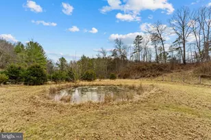 1537 Coal Mine Rd, Strasburg, VA 22657 - Photo 99