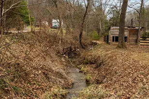 1537 Coal Mine Rd, Strasburg, VA 22657 - Photo 91