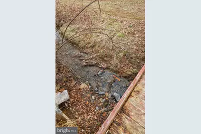 1537 Coal Mine Road, Strasburg, VA 22657 - Photo 87