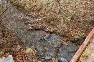 1537 Coal Mine Rd, Strasburg, VA 22657 - Photo 87