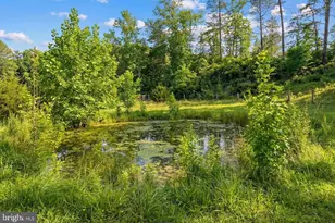 1537 Coal Mine Rd, Strasburg, VA 22657 - Photo 15