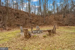 1537 Coal Mine Rd, Strasburg, VA 22657 - Photo 93