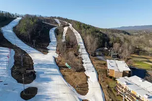 1814 Fairway, Basye, VA 22810 - Photo 7