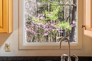 38 Strudel Ct, Basye, VA 22810 - Photo 13