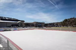 38 Strudel Ct, Basye, VA 22810 - Photo 77