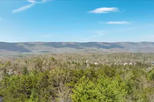 38 Strudel Ct, Basye, VA 22810 - Photo 43