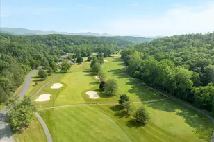 38 Strudel Ct, Basye, VA 22810 - Photo 69