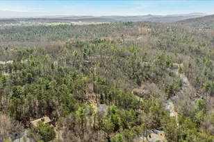 38 Strudel Ct, Basye, VA 22810 - Photo 47