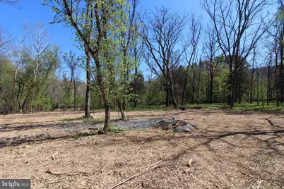 Tbd Indian Camp Trail, Maurertown, VA 22644 - Photo 9