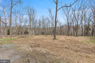 Tbd Indian Camp Trail, Maurertown, VA 22644 - Photo 5
