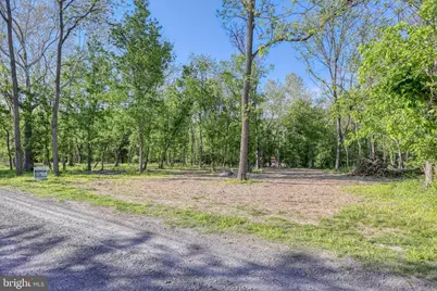 Tbd Indian Camp Trail, Maurertown, VA 22644 - Photo 13