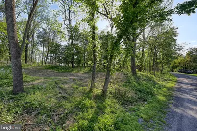 Tbd Indian Camp Trail, Maurertown, VA 22644 - Photo 11