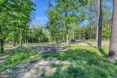 Tbd Indian Camp Trail, Maurertown, VA 22644 - Photo 7
