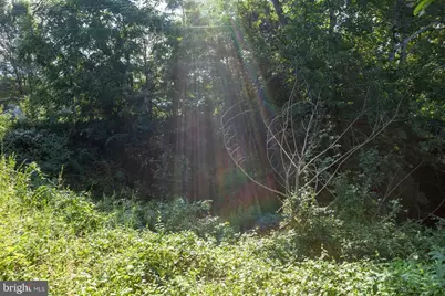 N Main, Mount Jackson, VA 22842 - Photo 9