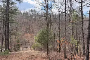 950 Krejci Blvd, Mount Jackson, VA 22842 - Photo 1