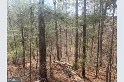 950 Krejci Boulevard, Mount Jackson, VA 22842 - Photo 5