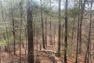 950 Krejci Blvd, Mount Jackson, VA 22842 - Photo 5