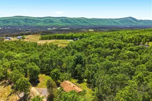 553 Mt of Olives Trail, Fort Valley, VA 22652 - Photo 51