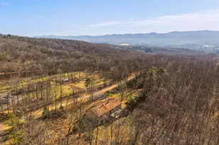 553 Mt of Olives Trail, Fort Valley, VA 22652 - Photo 53