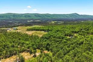 553 Mt of Olives Trail, Fort Valley, VA 22652 - Photo 55