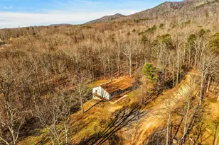 553 Mt of Olives Trail, Fort Valley, VA 22652 - Photo 45