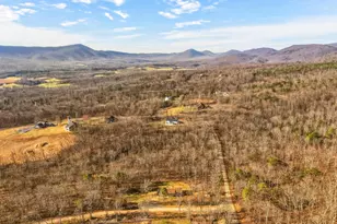 553 Mt of Olives Trail, Fort Valley, VA 22652 - Photo 55