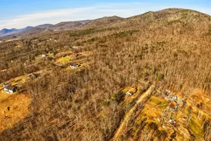 553 Mt of Olives Trail, Fort Valley, VA 22652 - Photo 61