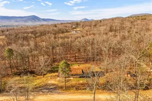 553 Mt of Olives Trail, Fort Valley, VA 22652 - Photo 59