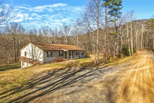 553 Mt of Olives Trail, Fort Valley, VA 22652 - Photo 43