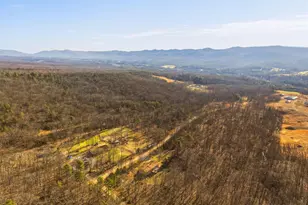 553 Mt of Olives Trail, Fort Valley, VA 22652 - Photo 57