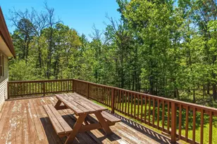553 Mt of Olives Trail, Fort Valley, VA 22652 - Photo 19