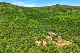 553 Mt of Olives Trail, Fort Valley, VA 22652 - Photo 57