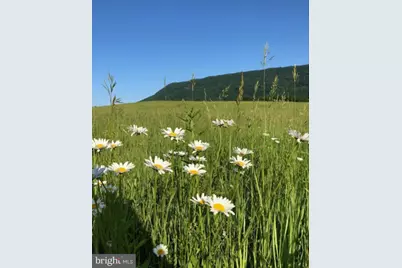 Tbd Sandy Hook Road, Strasburg, VA 22657 - Photo 5