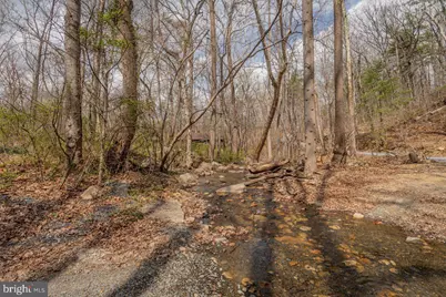 191 Hideaway Farms Road, Edinburg, VA 22824 - Photo 37