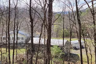 1605 Paddys Run Rd, Star Tannery, VA 22654 - Photo 5