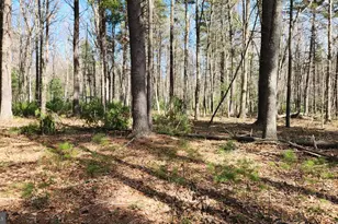 1605 Paddys Run Rd, Star Tannery, VA 22654 - Photo 7