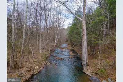 1605 Paddys Run Road, Star Tannery, VA 22654 - Photo 21