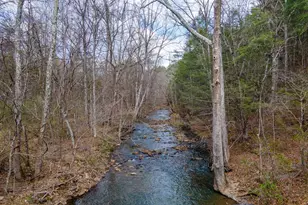 1605 Paddys Run Rd, Star Tannery, VA 22654 - Photo 21