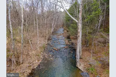 1605 Paddys Run Road, Star Tannery, VA 22654 - Photo 19