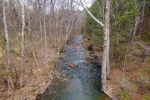 1605 Paddys Run Rd, Star Tannery, VA 22654 - Photo 19