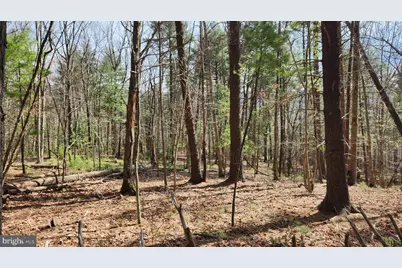 1605 Paddys Run Road, Star Tannery, VA 22654 - Photo 13