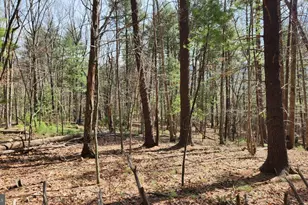 1605 Paddys Run Rd, Star Tannery, VA 22654 - Photo 13